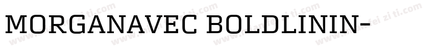 MorganAvec BoldLinin字体转换
